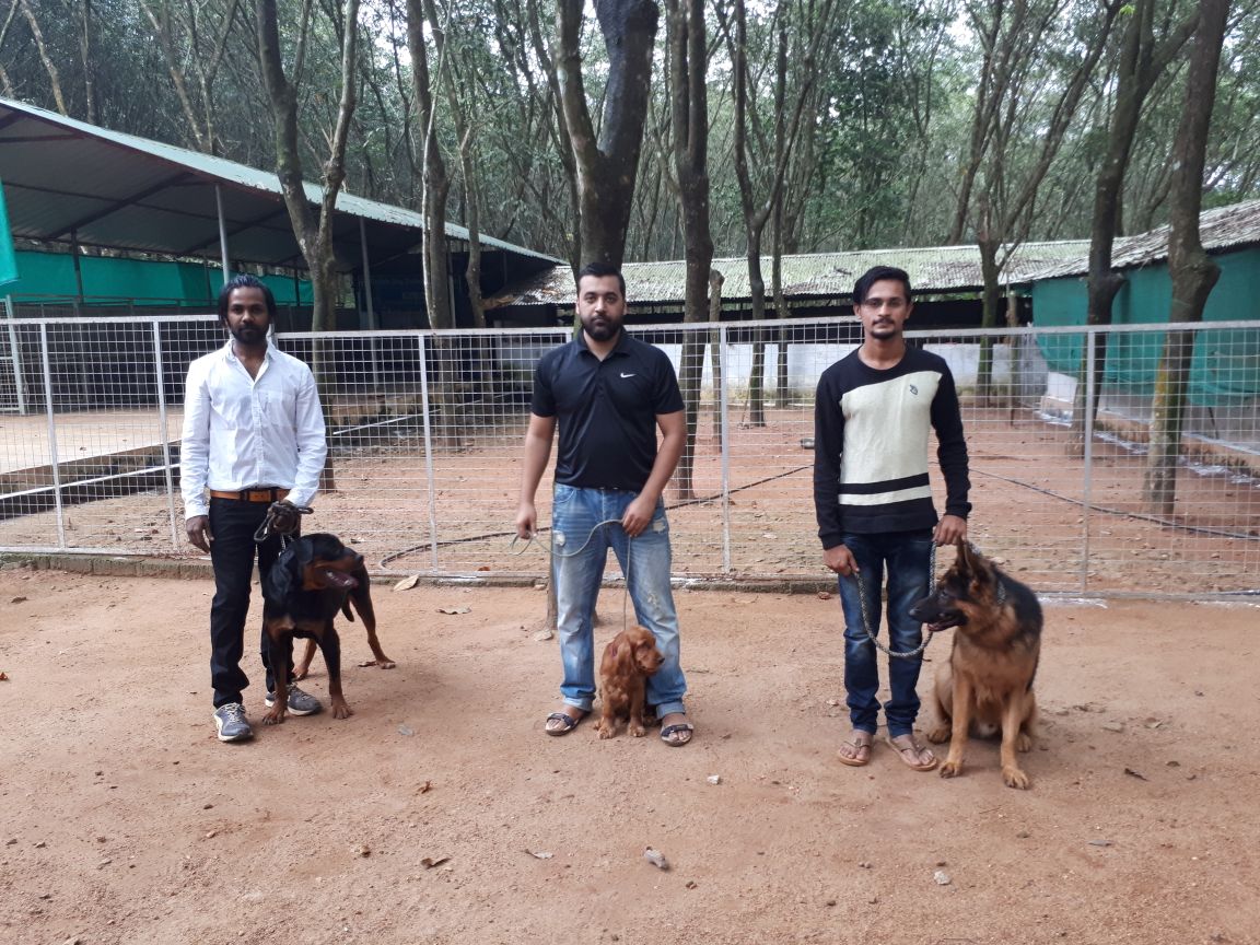 Dog Training Institute in Kerala, Canine Training Center, Dog School